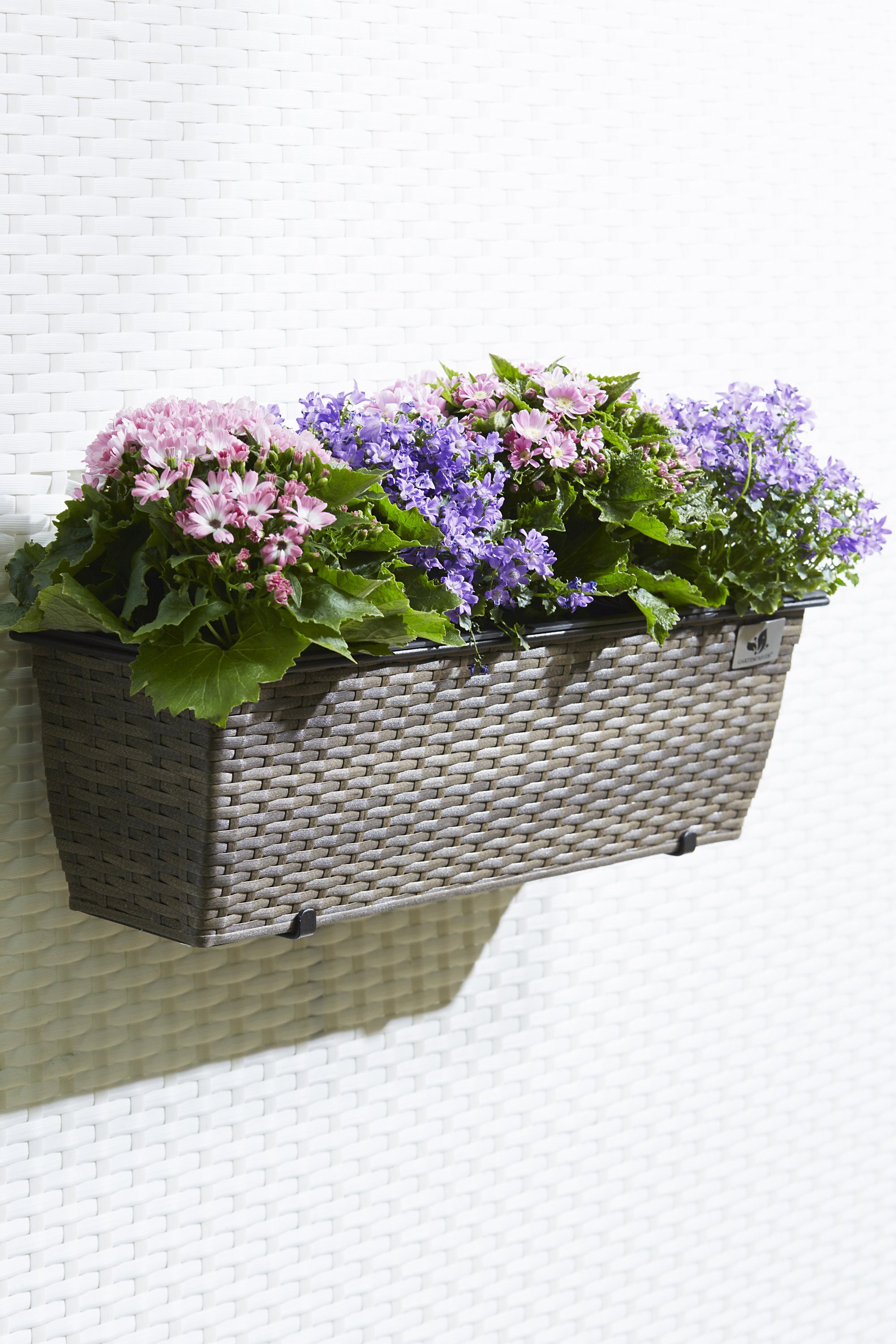 Gartenfreude Blumenkasten Pflanzgefäß Bewässerungssystem mit Balkonkasten Cappuccino