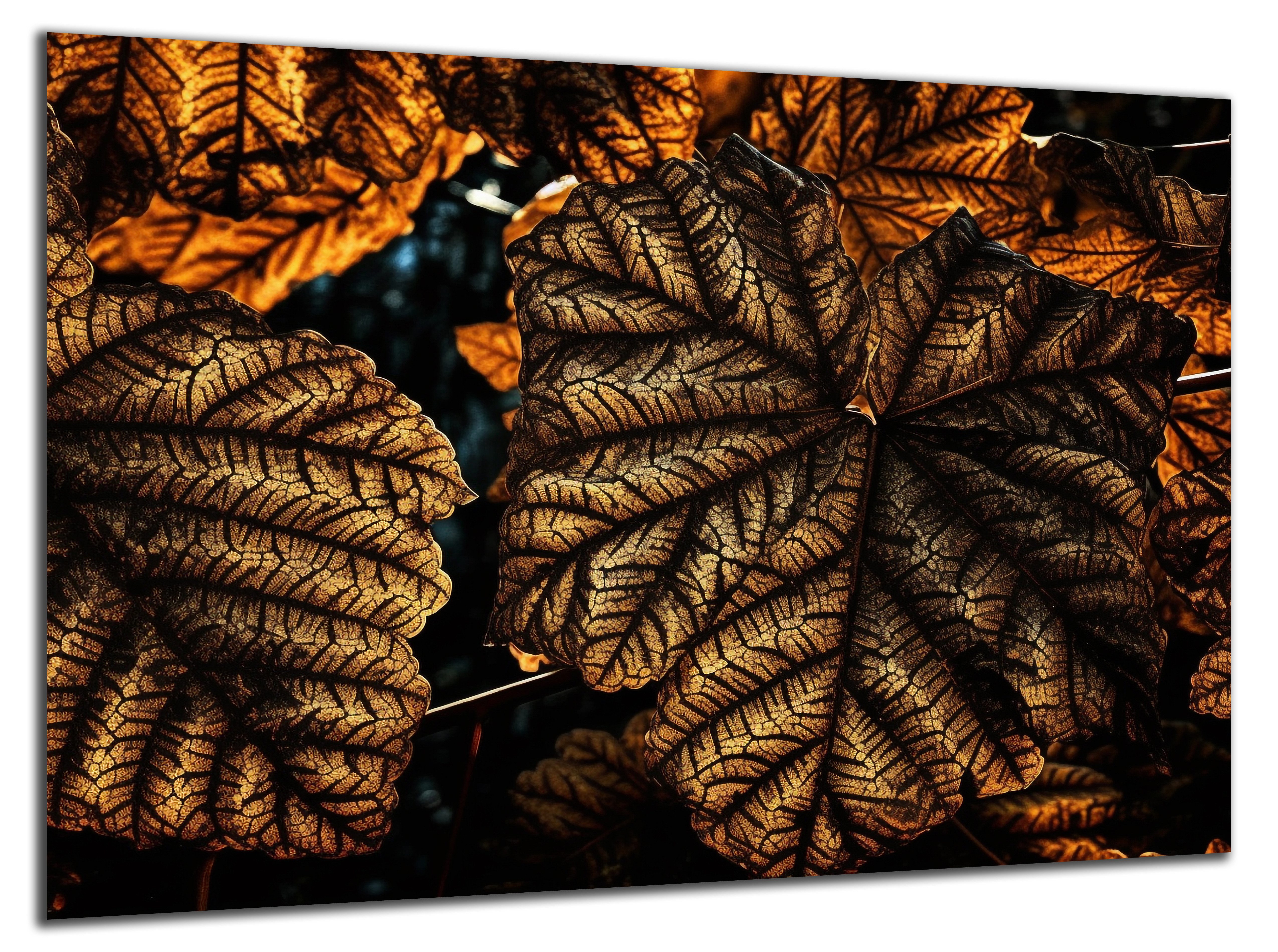 DARO Design Leinwandbild Modern Abstrakt Wandbilder günstig online kaufen