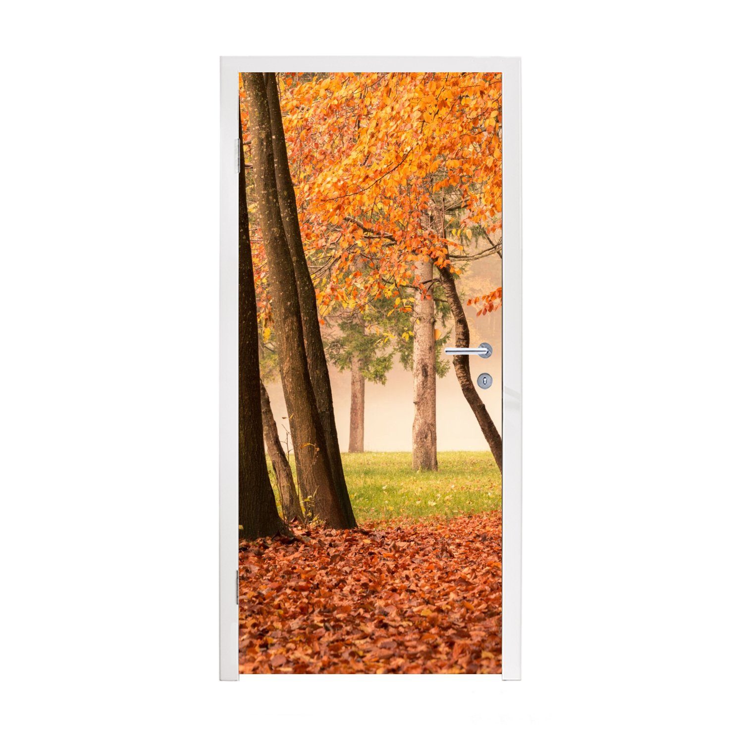 Wald, - St), bedruckt, Blätter (1 Matt, 75x205 - für Herbst MuchoWow Fototapete cm Türtapete Türaufkleber, Tür,