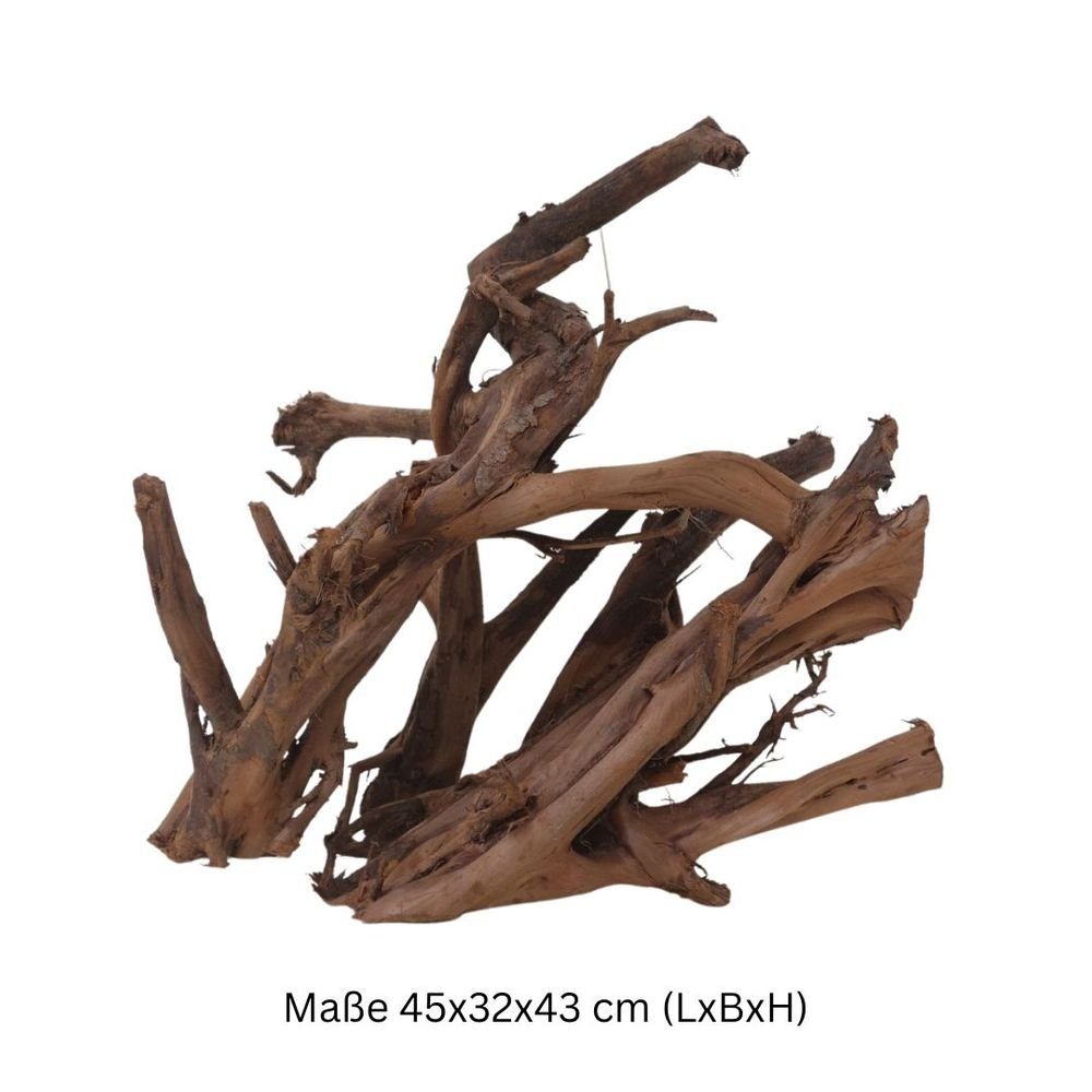 Aquaone Aquarium XL Mangrovenwurzel Nr.6289 Holz Deko Aquascaping