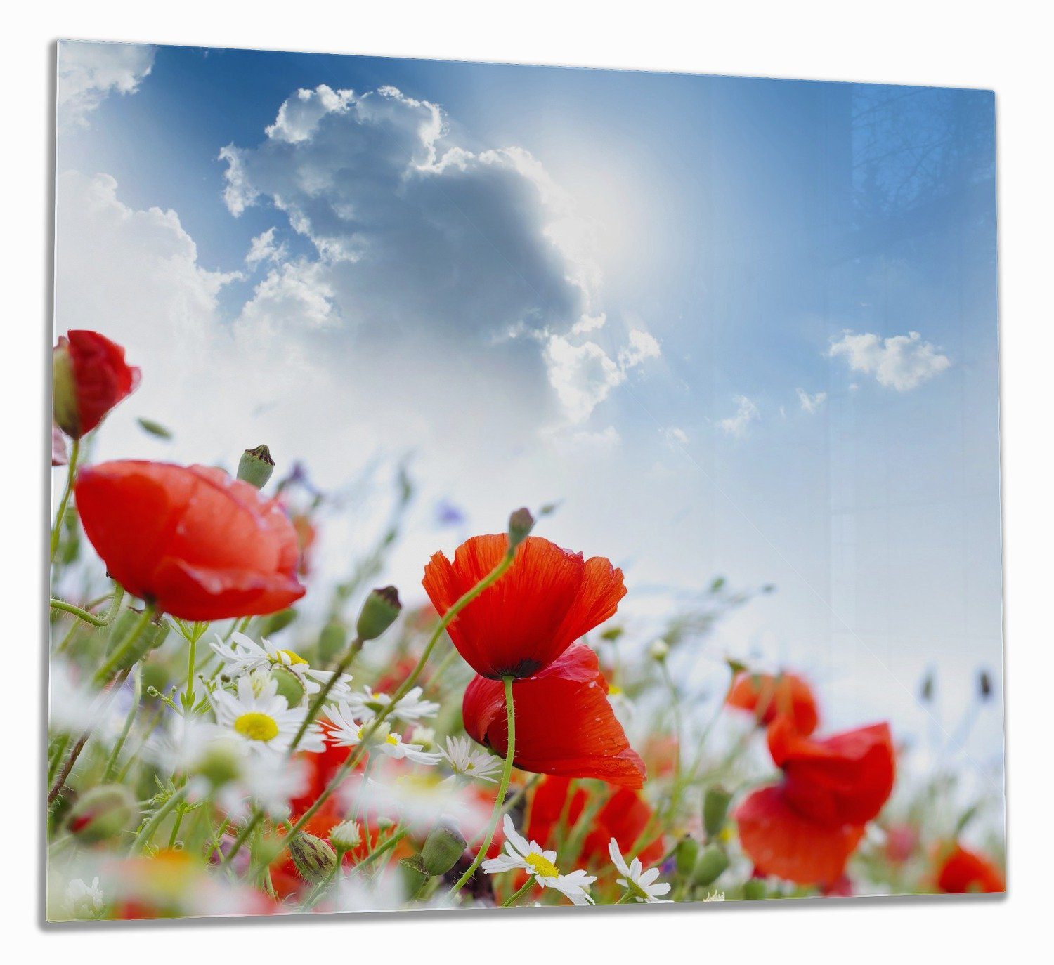 Wallario Herd-Abdeckplatte Mohnblumen unter blauem Himmel, ESG-Sicherheitsglas, (Glasplatte, 1 tlg., inkl. 5mm Noppen), verschiedene Größen