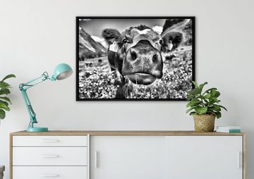 Pixxprint Leinwandbild Alpen Kuh auf Bergwiese, Wanddekoration (1 St), Leinwandbild fertig bespannt, in einem Schattenfugen-Bilderrahmen gefasst, inkl. Zackenaufhänger