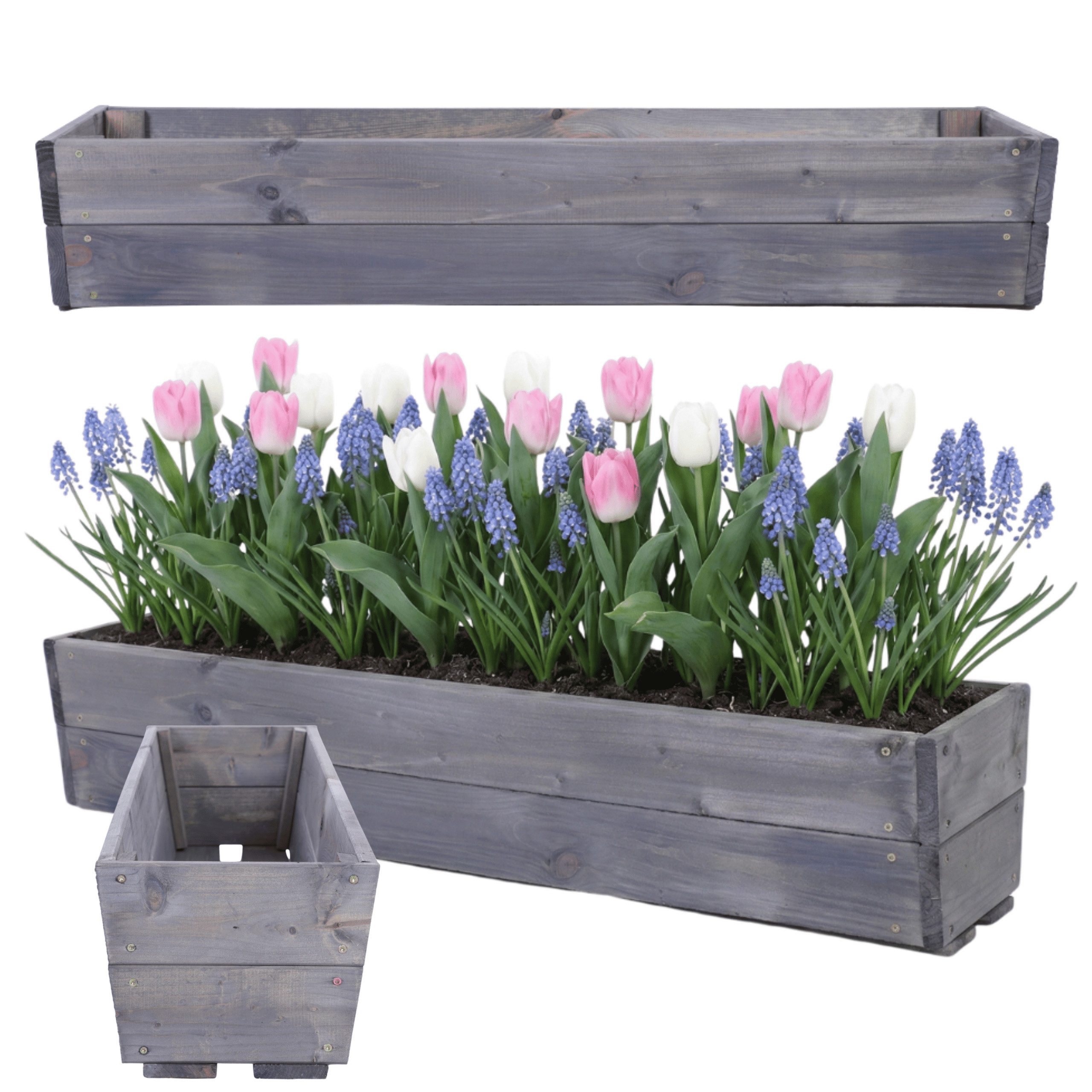Indoor Blumenkästen online kaufen » Indoor Pflanzkästen