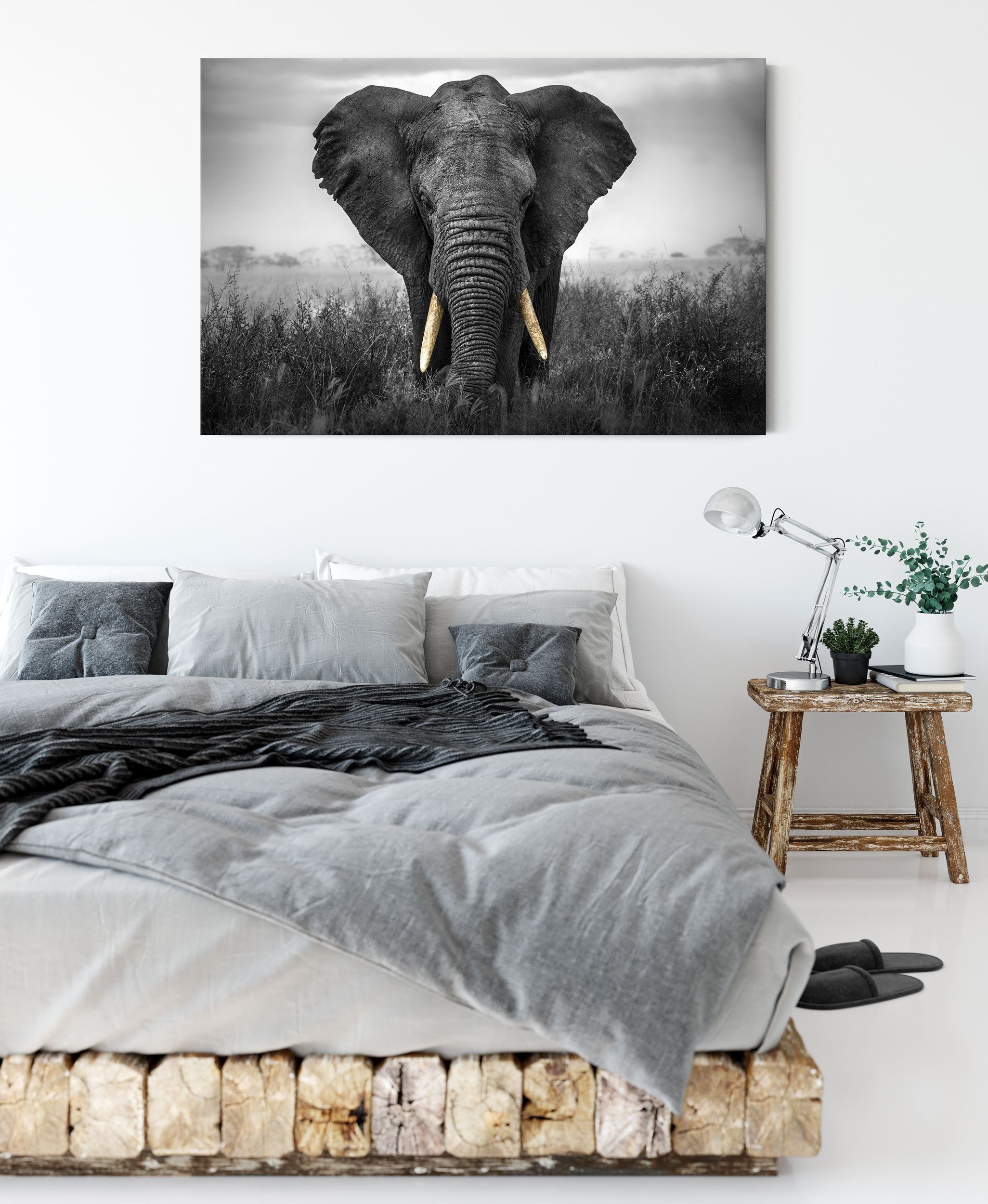 Leinwandbild St), fertig Elefant, Pixxprint prachtvoller Elefant bespannt, inkl. prachtvoller Leinwandbild Zackenaufhänger (1