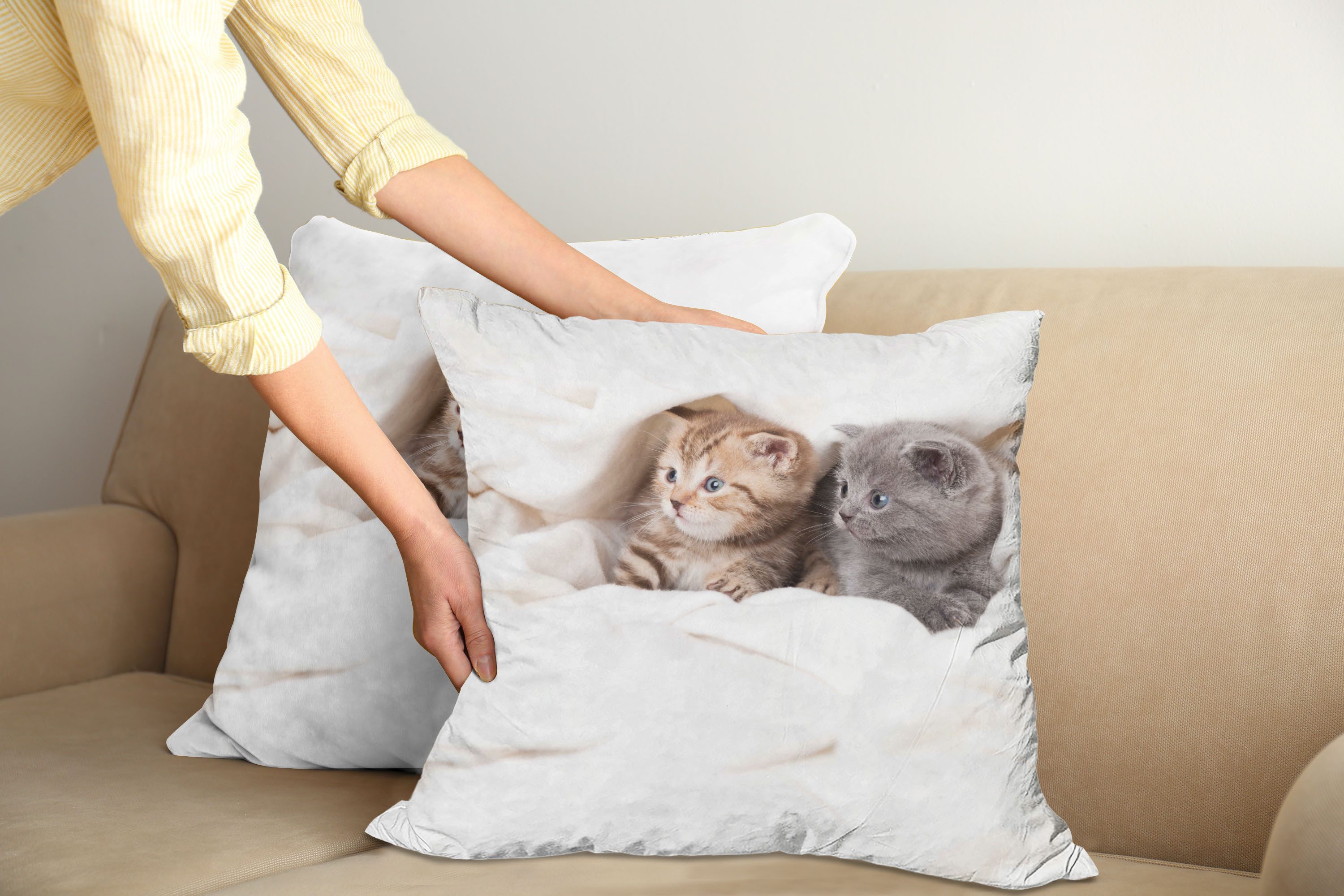 Abakuhaus Kissenbezüge Modern Accent Doppelseitiger Digitaldruck, (2 Stück), Tier Scottish Fold Kätzchen