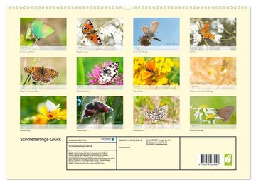 CALVENDO Wandkalender Schmetterlings-Glück (Premium, hochwertiger DIN A2 Wandkalender 2023, Kunstdruck in Hochglanz)