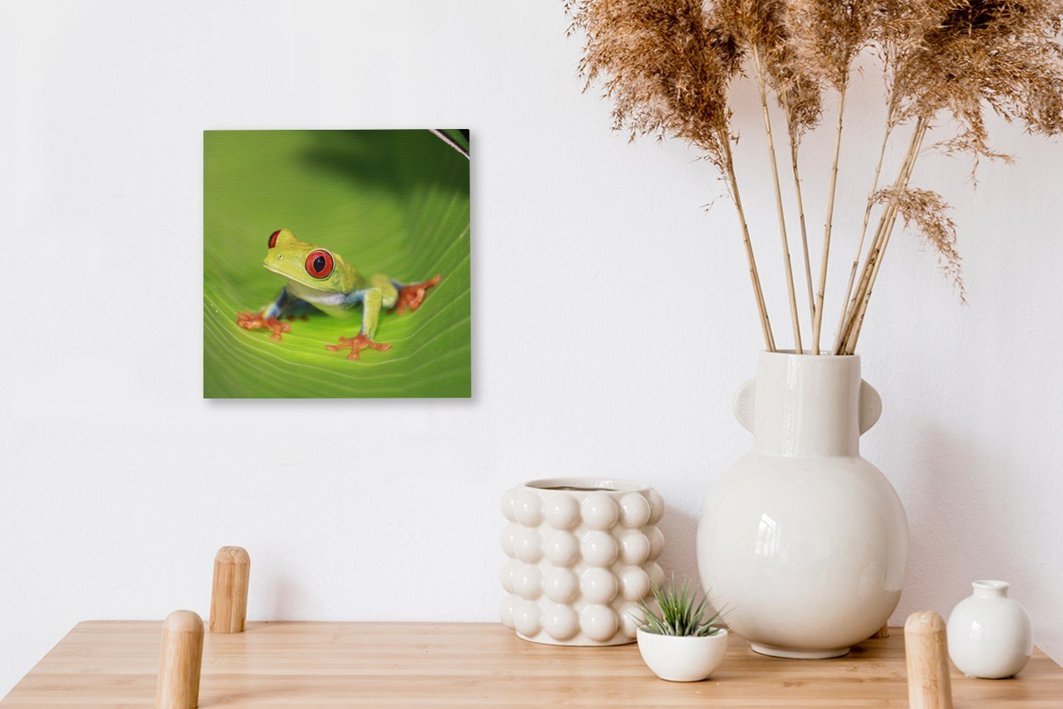 OneMillionCanvasses® Leinwandbild einem Rotaugen-Ara-Frosch Rica, in Costa Wohnzimmer auf Leinwand Bilder Schlafzimmer Blatt (1 St), für