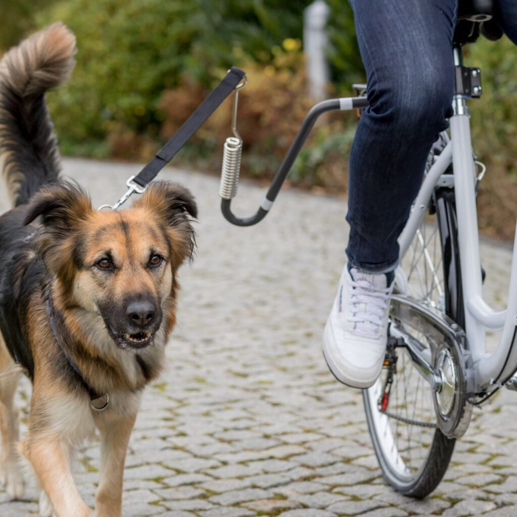 TRIXIE Fahrradhundeanhänger Biker-Set Fahrrad-Hundebügel in U-Form mit Abstandshalter und Federung