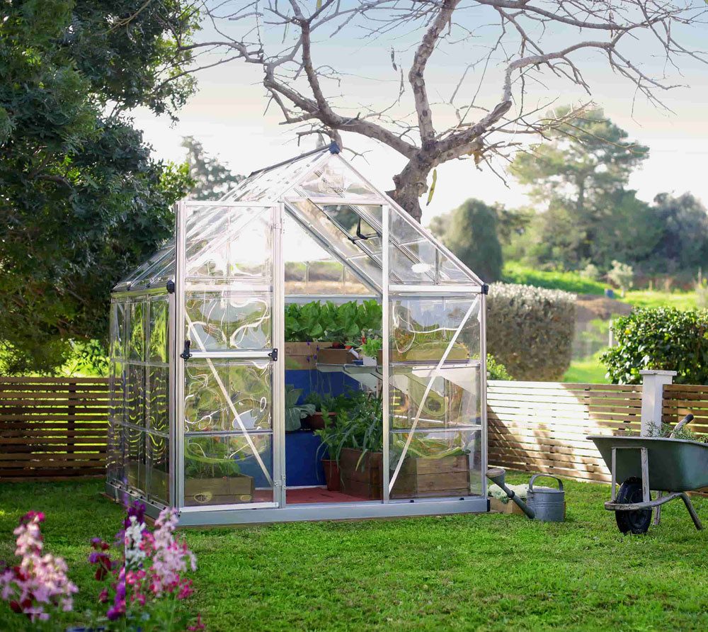 Palram - Canopia Gewächshaus, x 208  | ...