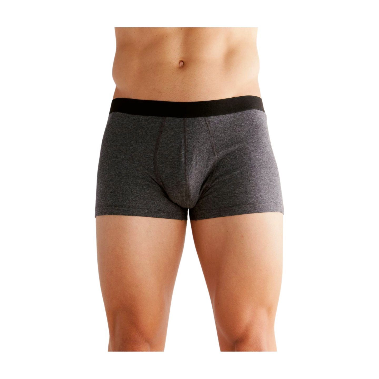 Albero Natur Boxershorts Trunk Shorts Anthrazit-Melange