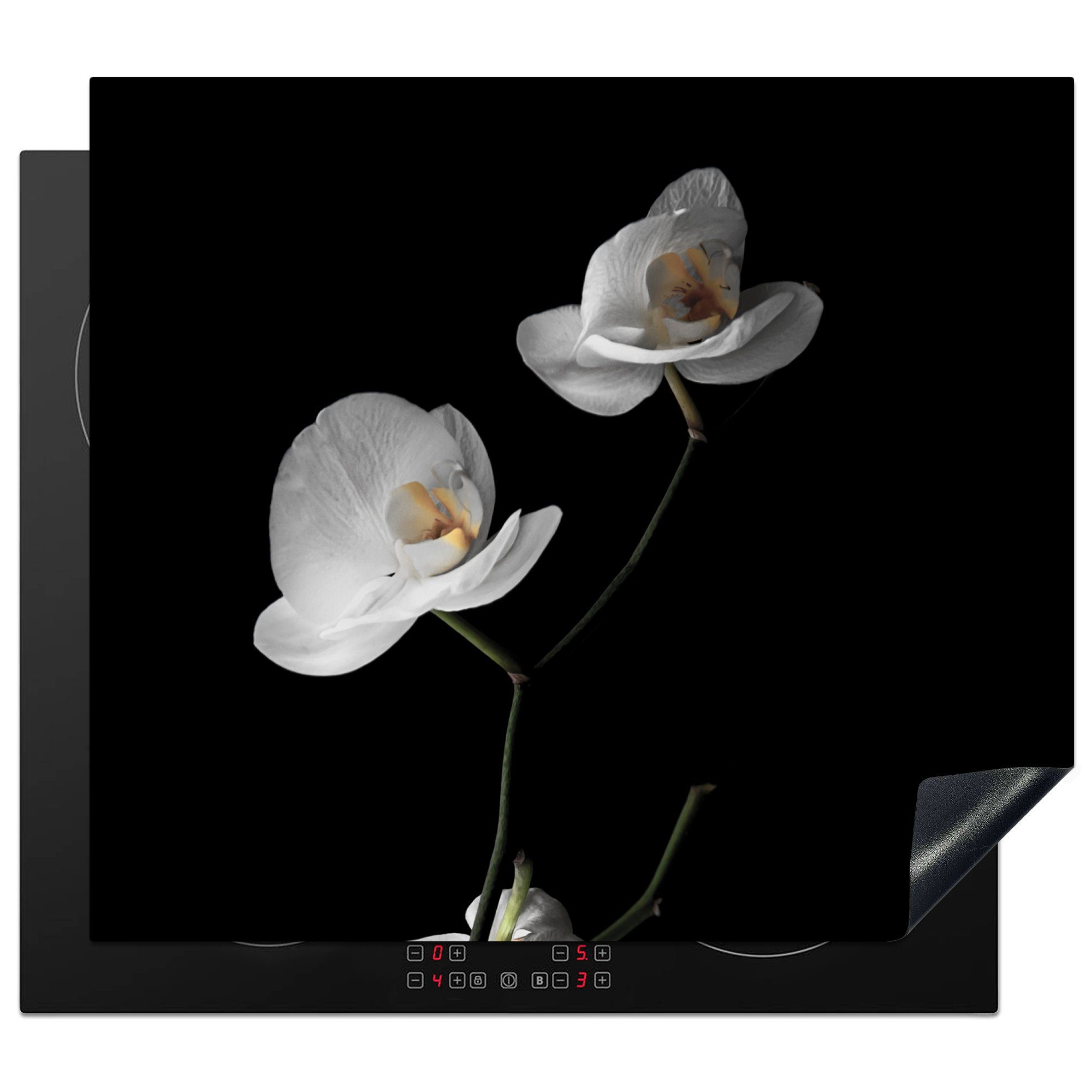 MuchoWow Herdblende-/Abdeckplatte Orchidee - Blumen - Schwarz - Weiß - Stilleben, Vinyl, (1 tlg), 57x51 cm, Induktionsschutz, Induktionskochfeld, Ceranfeldabdeckung