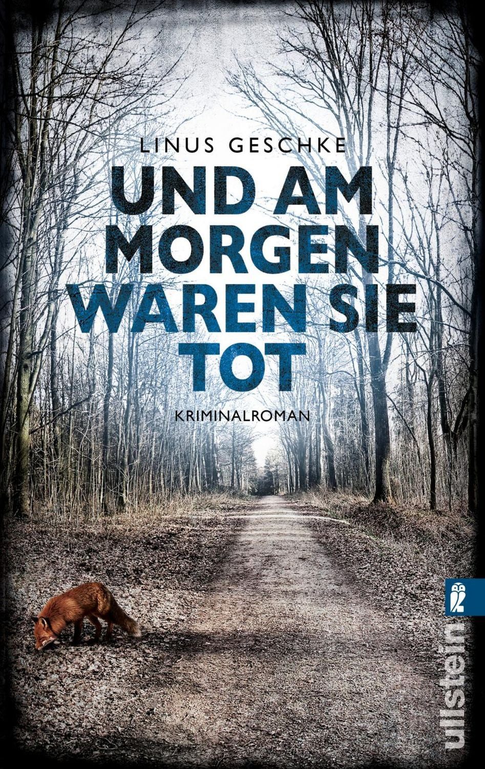 Belletristik Und am Morgen waren sie tot / Jan Römer Band 2 Kriminalroman Linus Geschke