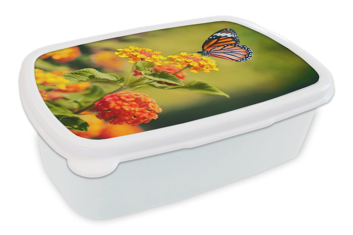 Gelb, Lunchbox Jungs für MuchoWow und Brotdose, Kinder Insekten - und Schmetterling Blumen Kunststoff, für Mädchen weiß Erwachsene, (2-tlg), - Brotbox -