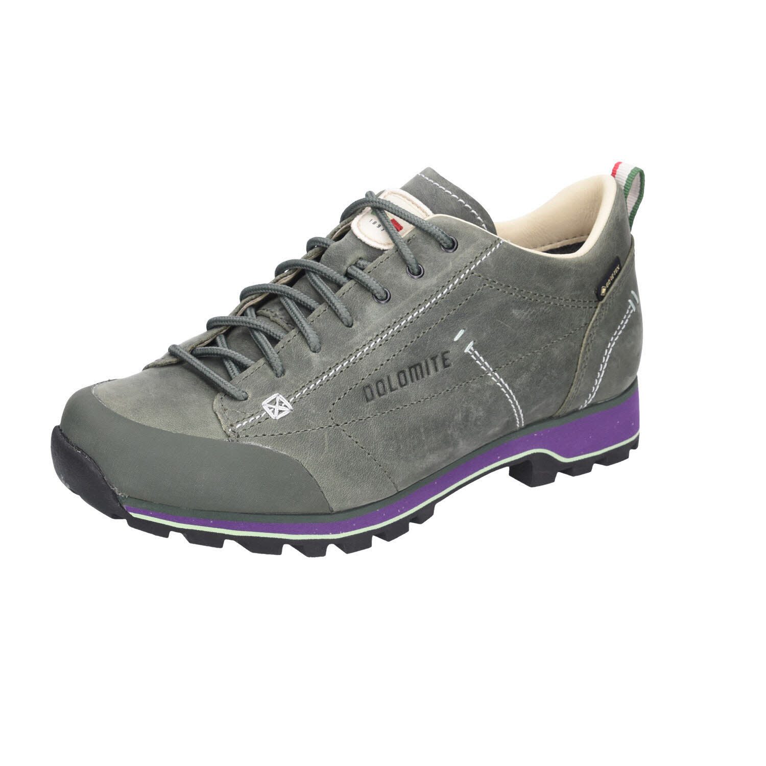 Low GTX EVO Outdoorschuh