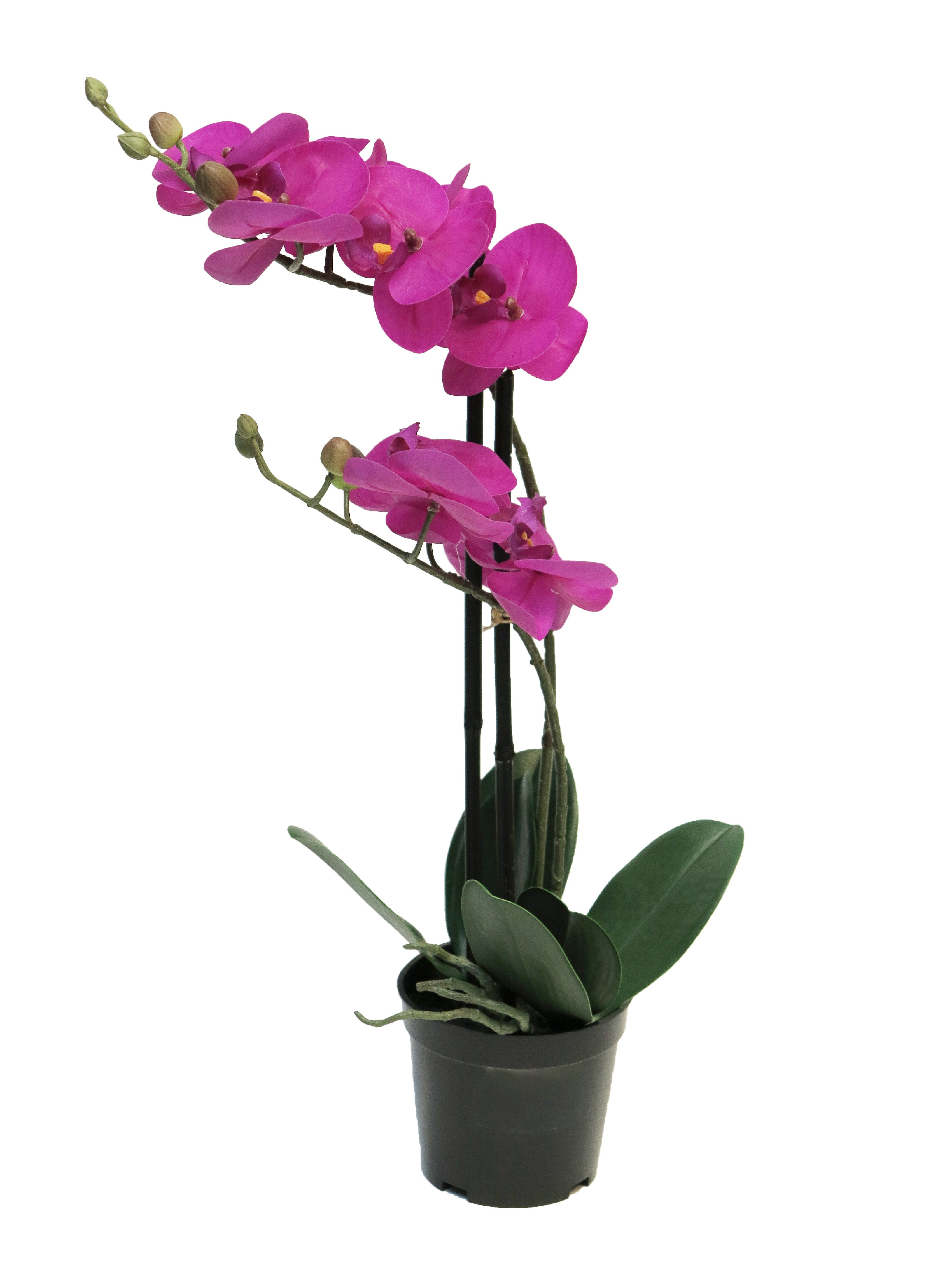 Kunstorchidee künstliche Phalaenopsis Bora 50cm mit günstig online kaufen