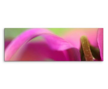 Sinus Art Leinwandbild Naturfotografie  Helle pinke Blütenblätter auf Leinwand exklusives Wandbild moderne Fotografie für