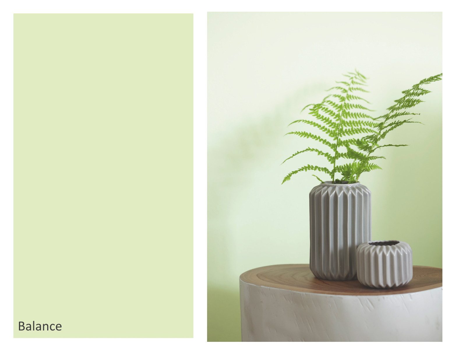 Alpina Wandfarbe 5 Liter Alpina Farbrezepte Wandfarbe, hochdeckende Farbe