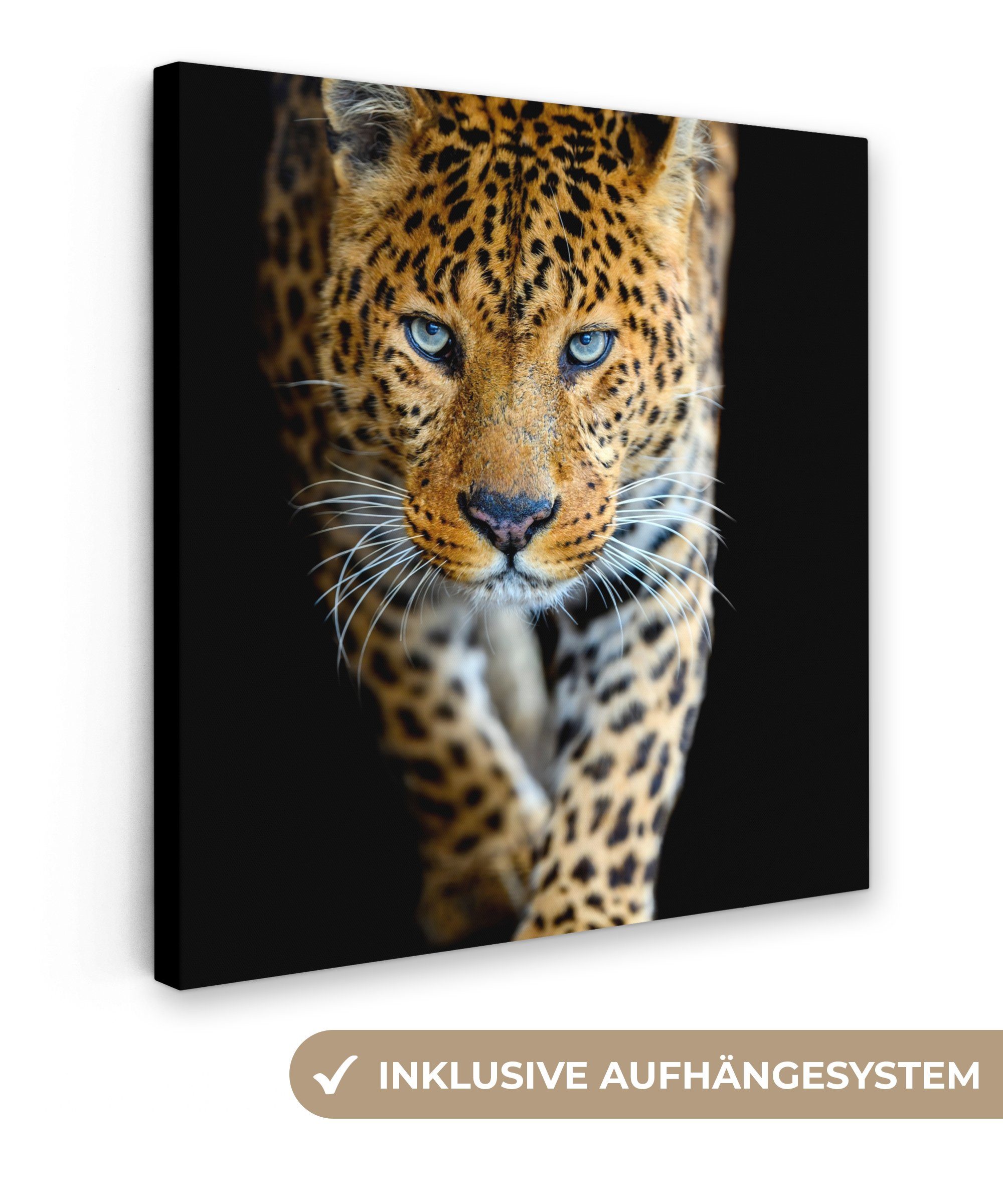 Leinwandbild Leopard - Tiere - Porträt - Wildtiere - Schwarz