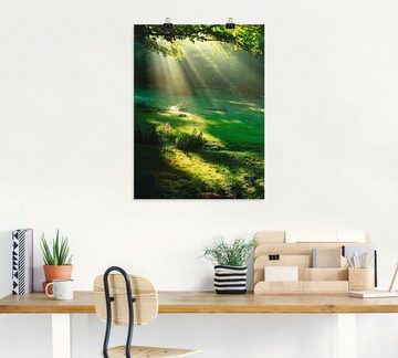 Artland Wandbild Lichtkegel, Wald (1 St), als Alubild, Outdoorbild, Leinwandbild, Poster, Wandaufkleber