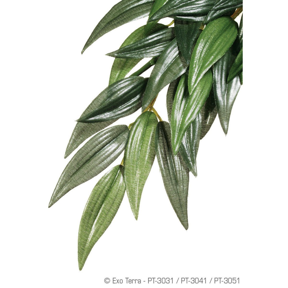 Terrariendeko Terrarien-Pflanze Ruscus