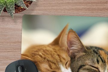 MuchoWow Gaming Mauspad Katzen - Schlafen - Vorleger (1-St), Mousepad mit Rutschfester Unterseite, Gaming, 40x40 cm, XXL, Großes