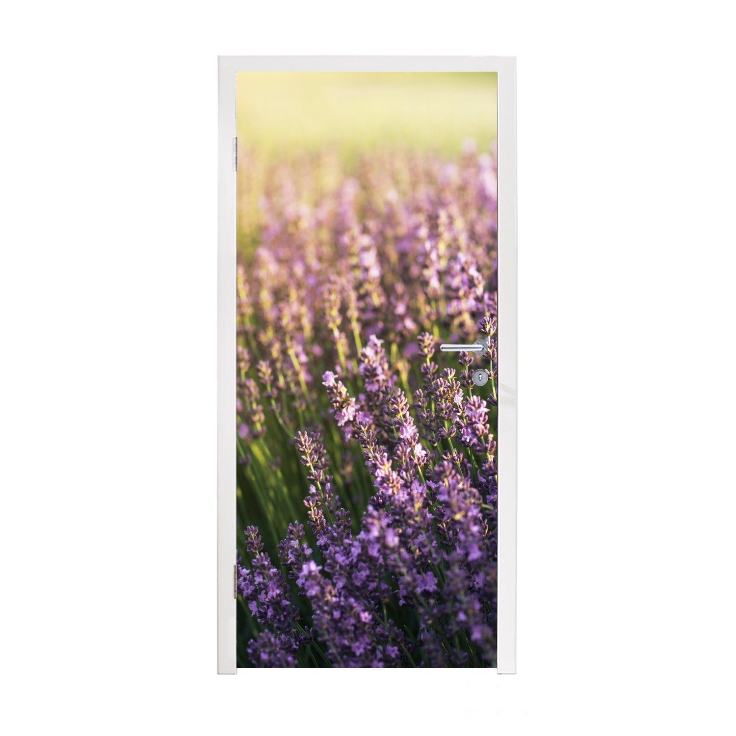 Türaufkleber, cm auf 75x205 Matt, Feld, Lavendel einem St), bedruckt, MuchoWow Tür, (1 für Fototapete Türtapete