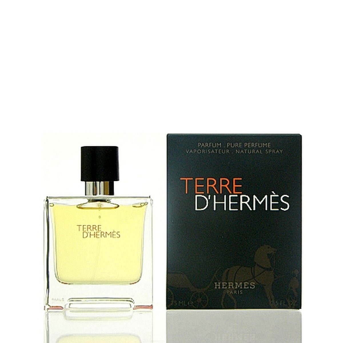 Eau de Parfum Hermès Terre D´Hermès Pure Parfum Spray 75 ml