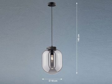 meineWunschleuchte LED Pendelleuchte, LED wechselbar, Warmweiß, Industrial Rauchglas Glas-Kugel einflammig Schwarz hängend Ø18cm klein