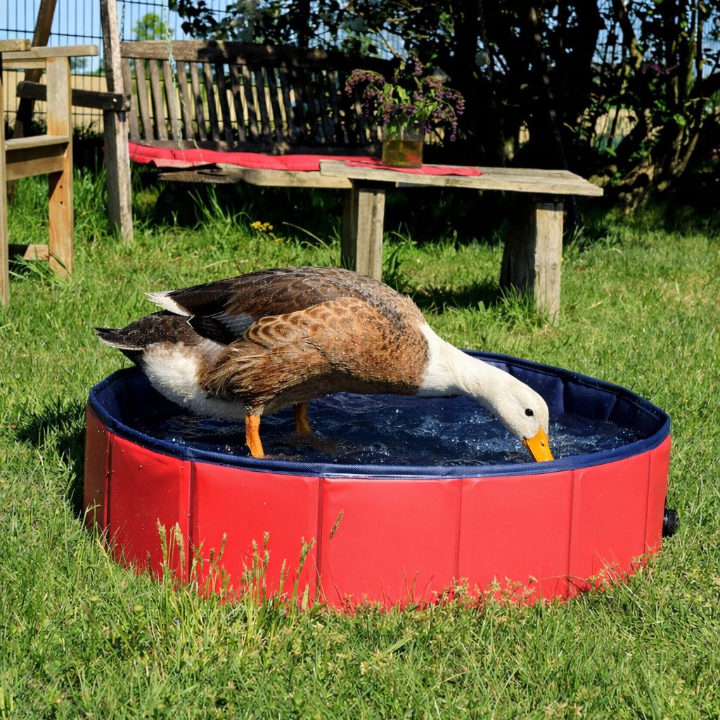 lionto Geflügeltränke, Pool für Enten, Gänse & Hühner, kratzfestes PVC, 80 cm Ø 100 l, stabil & leicht zu reinigen, Abflussventil & Anti-Rutsch-Boden