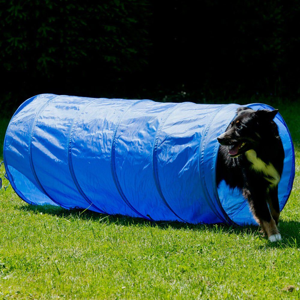 Schecker Agility-Slalom Dog Agility Starter Set, Kunststoff, (7-tlg)
