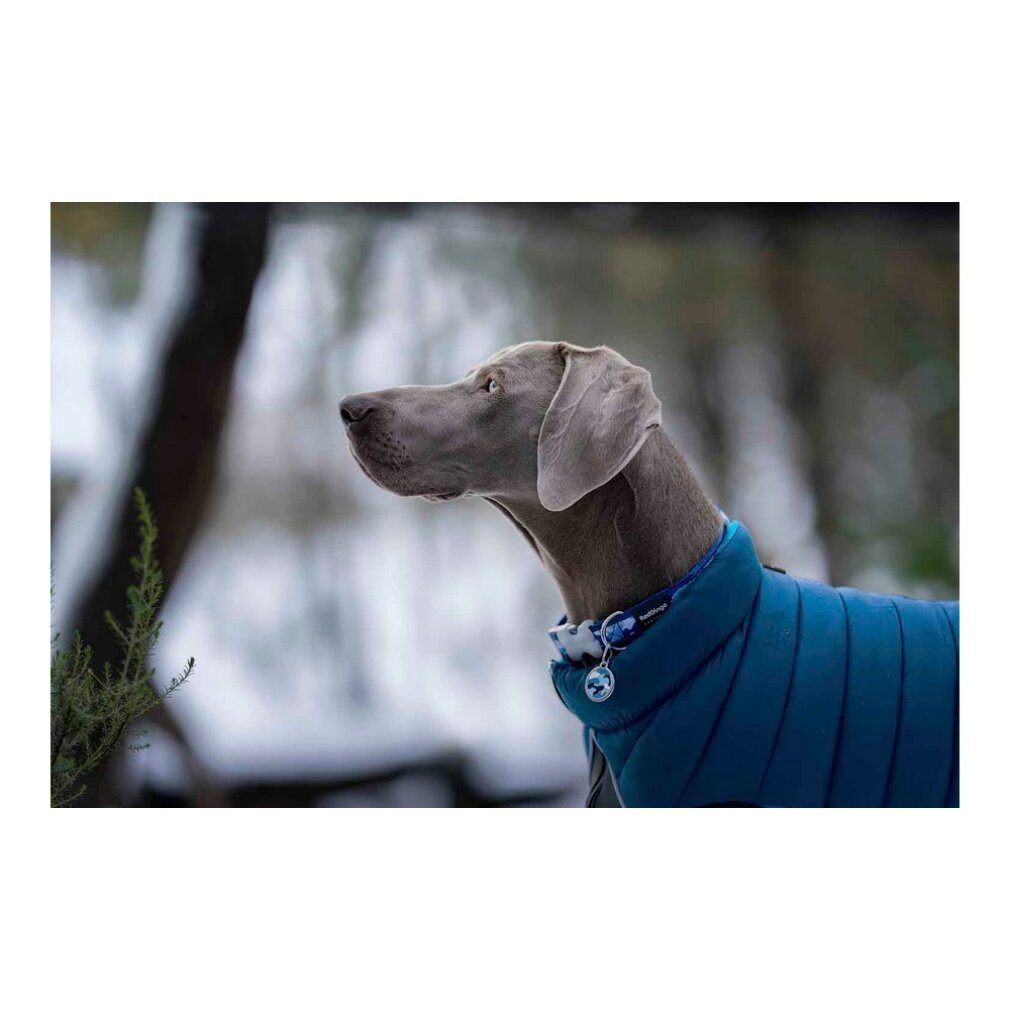 Red Dingo Hundemantel Hundemäntelchen TicWatch Puffer 40 cm