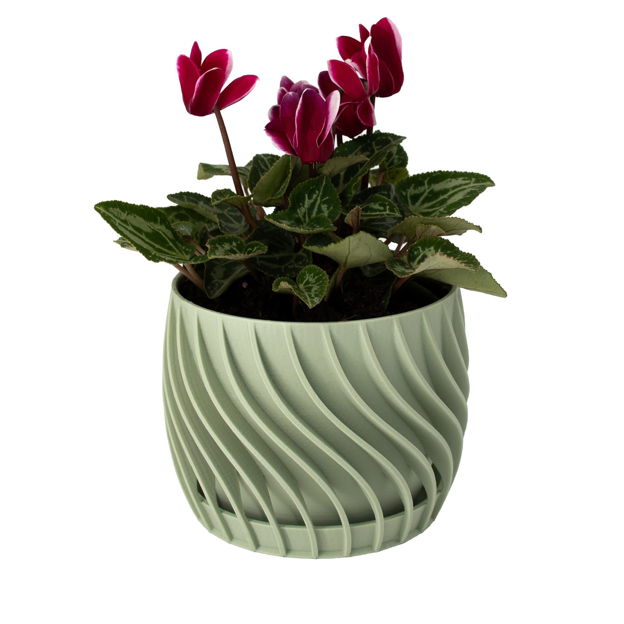 1 integriertem pot Spiraloptik Decorations mit 3D-Druck mintgrün Blumentopf integriertem Blumentopf the Unterteller, plate - 100% Untersetzer), - mit Shapes Blumentopf (Einzelmodell, x