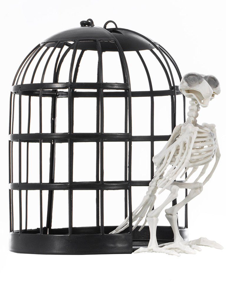 CHAKS Dekoobjekt Gruseliger Skelett Vogel im Käfig, Halloween Deko