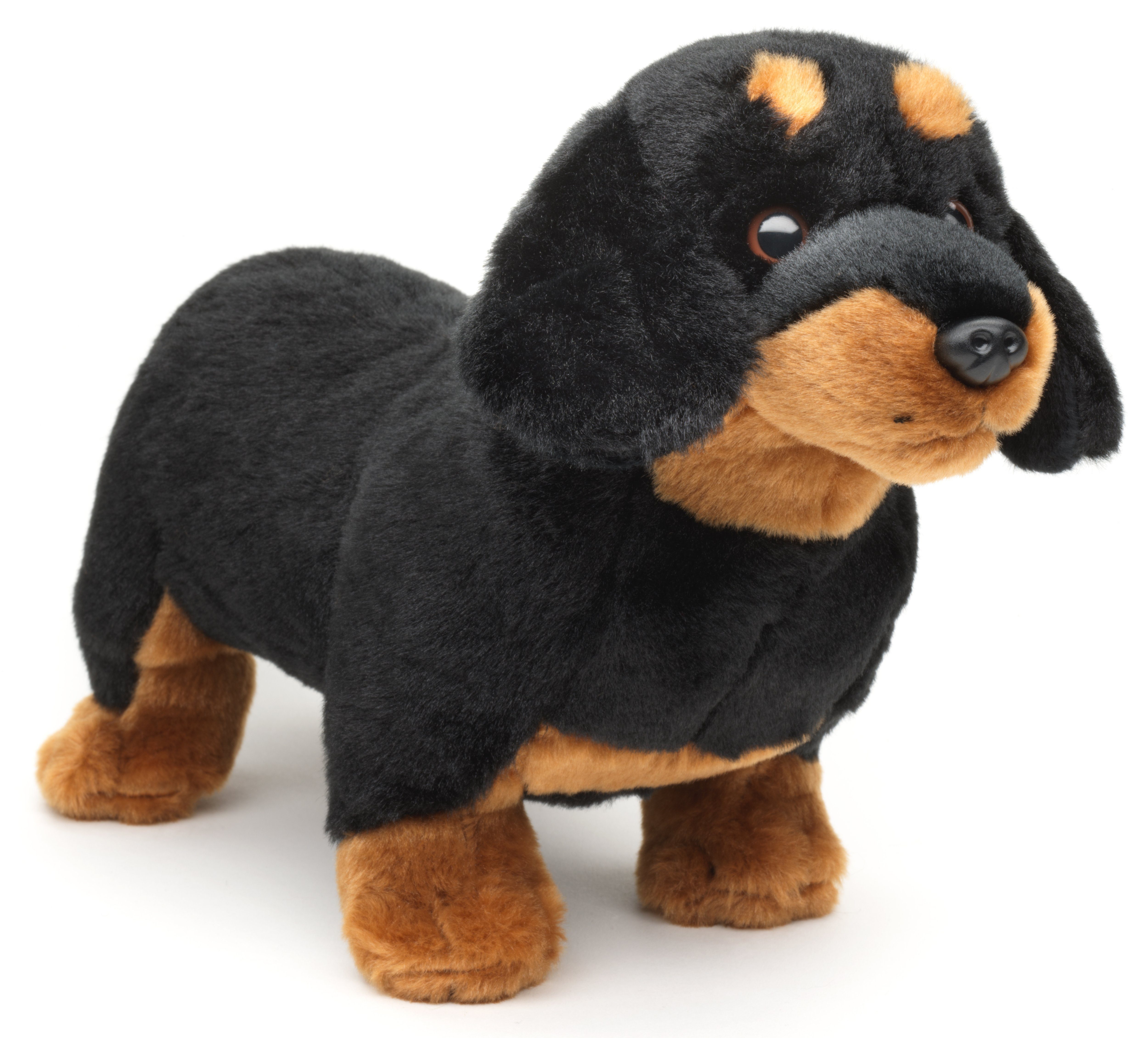 Uni-Toys Kuscheltier Dackel, stehend - mit / ohne Leine - 28 cm - Plüsch-Hund - Plüschtier, zu 100 % recyceltes Füllmaterial