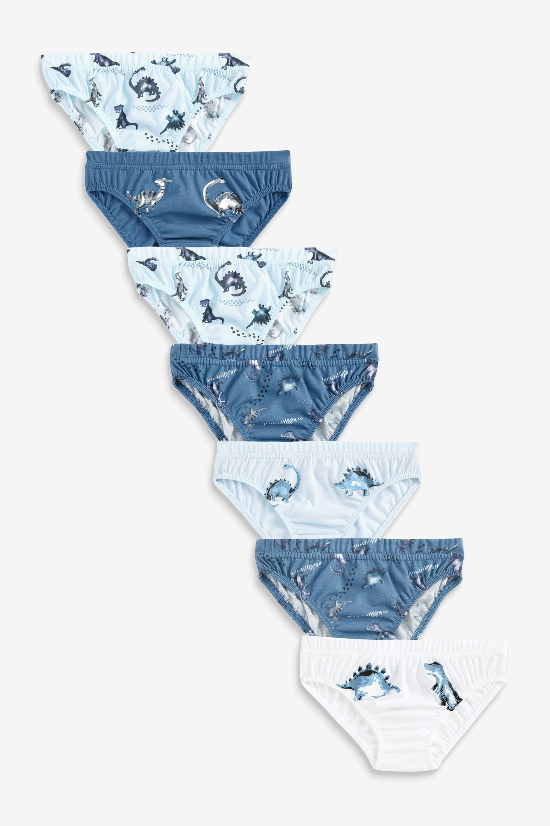 Next Slip Slips (7-St) Blue im 7er-Pack Dino