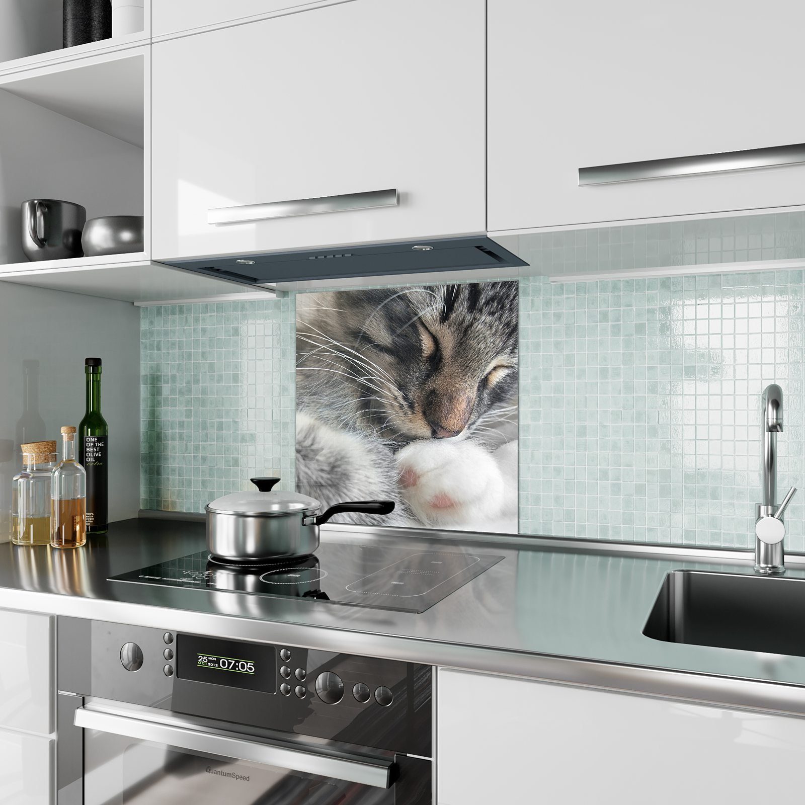 Primedeco Küchenrückwand Spritzschutz Glas Waldkatze