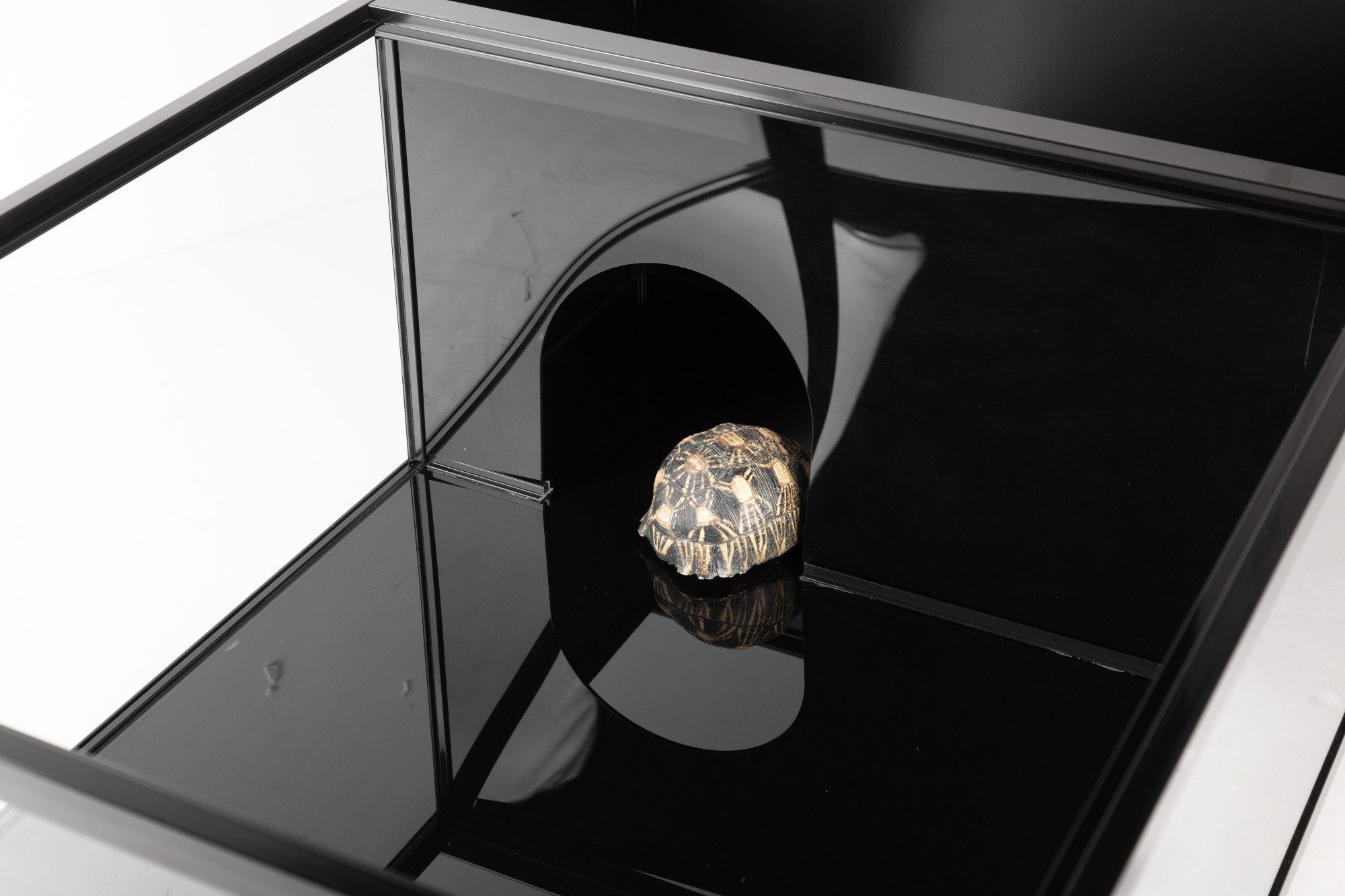 ReptiZoo Terrarium ReptiZoo Glasterrarium "2in1" 91,5x 61x 35,5cm - verschickbar (RKE020