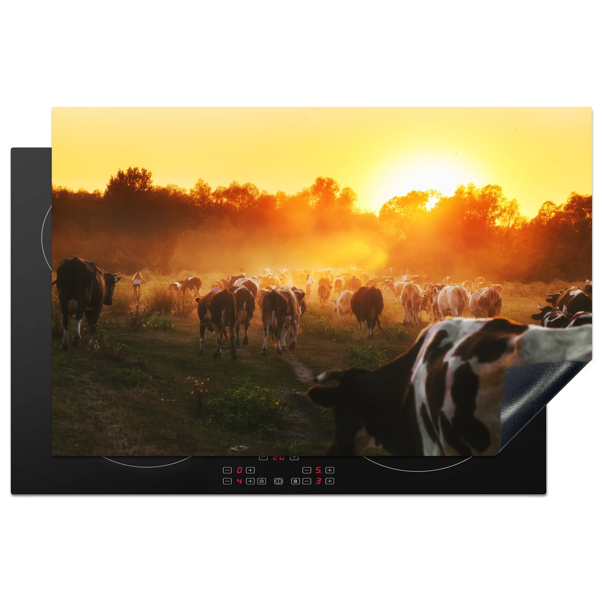 MuchoWow Herdblende-/Abdeckplatte Kühe - Sonnenuntergang - Wiese - Tiere, Vinyl, (1 tlg), 81x52 cm, Induktionskochfeld Schutz für die küche, Ceranfeldabdeckung