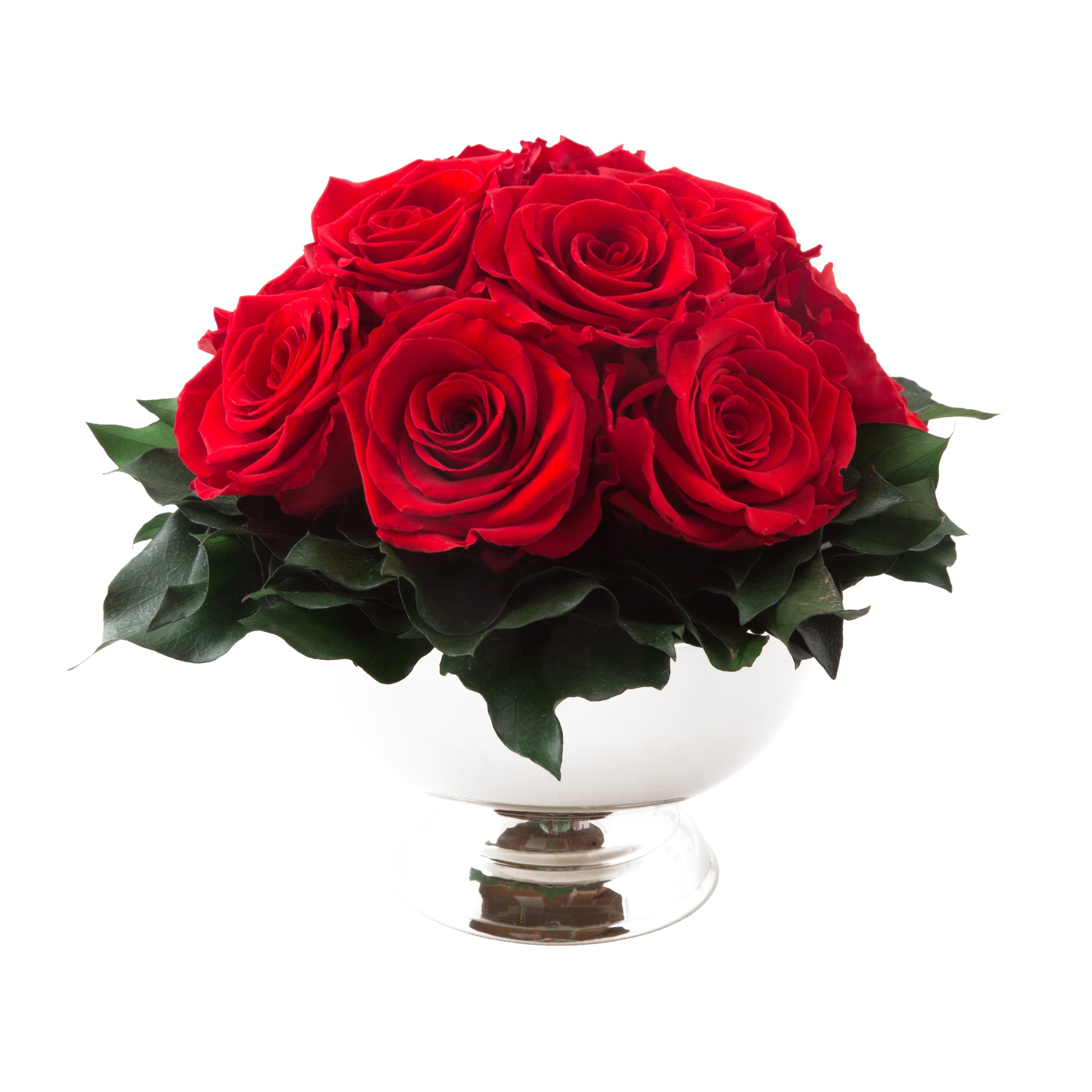 Gestecke Blumengesteck 11 Infinity Rosen in Blumenschale Blumenstrauß Rosenbox Rose, ROSEMARIE SCHULZ Heidelberg, Höhe 18 cm, Echte Blumen 3 Jahre haltbar, Geschenk für Frauen, Made in Germany