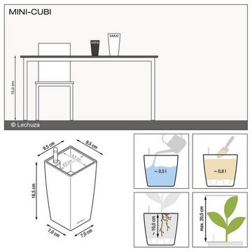 Lechuza® Pflanzkübel Lechuza Pflanztopf Mini-Cubi anthrazit metallic 18