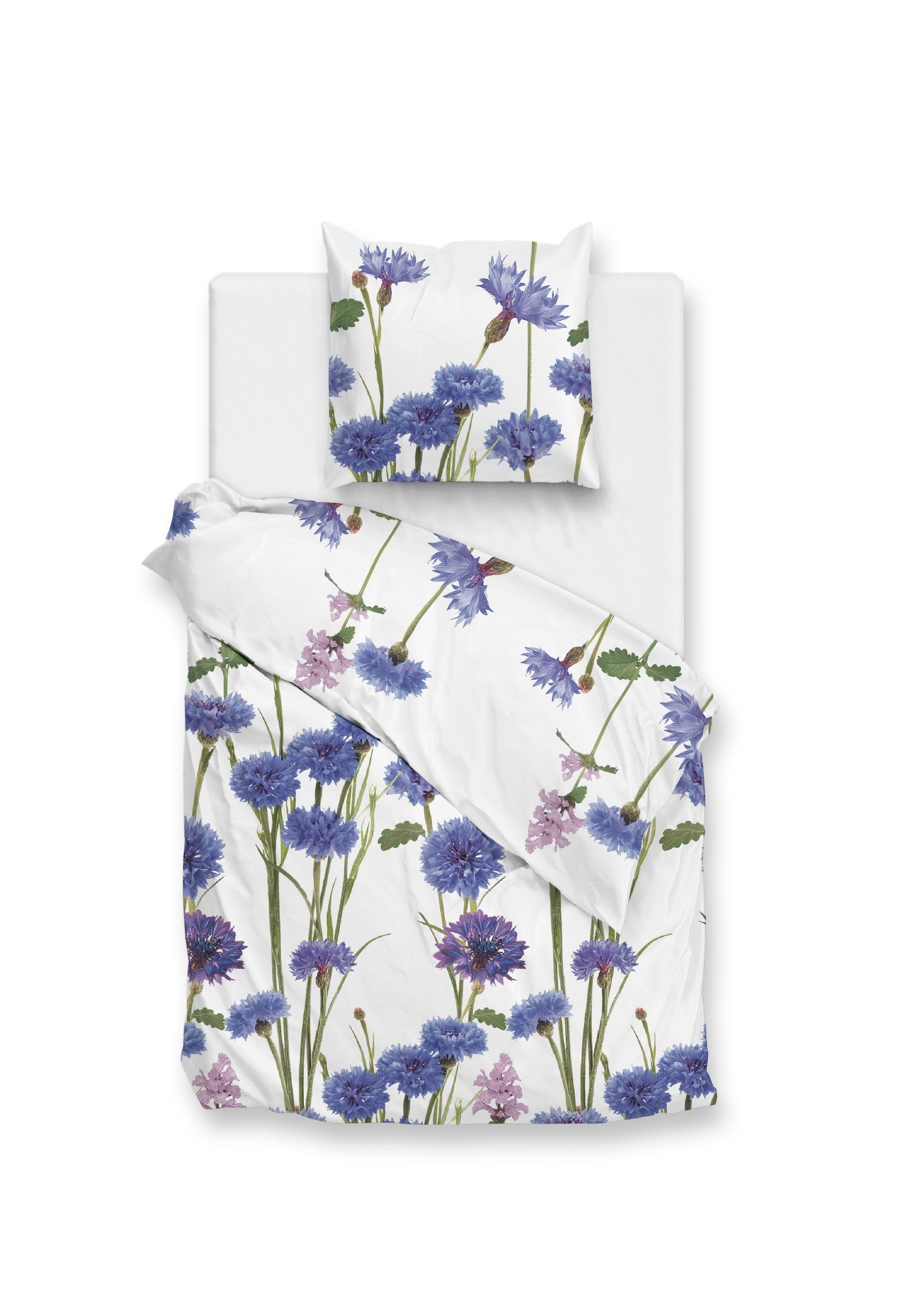 ZO HOME Bettwäsche ZO!Home, Renforcé, 2 teilig, blaue Kornblumen auf weißem Hintergrund