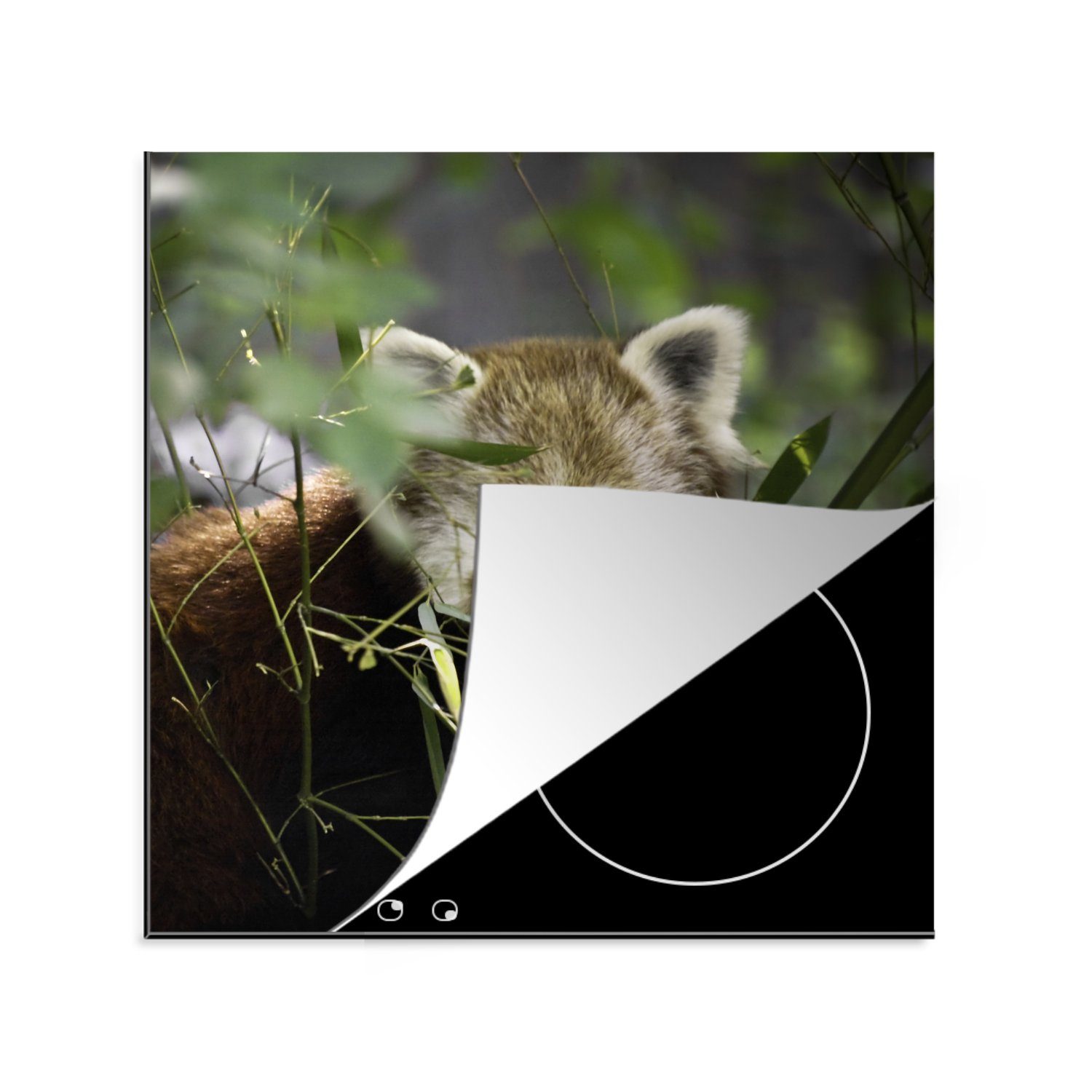 MuchoWow Herdblende-/Abdeckplatte Roter Panda - Zweige - Grün, Vinyl, (1 tlg), 78x78 cm, Ceranfeldabdeckung, Arbeitsplatte für küche