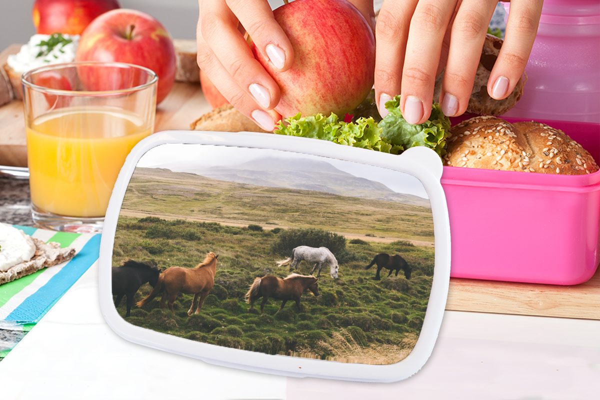 Kunststoff, (2-tlg), für Kunststoff Pferde MuchoWow Brotbox Mädchen, - Brotdose Lunchbox Erwachsene, rosa Kinder, Braun, Snackbox, Island -