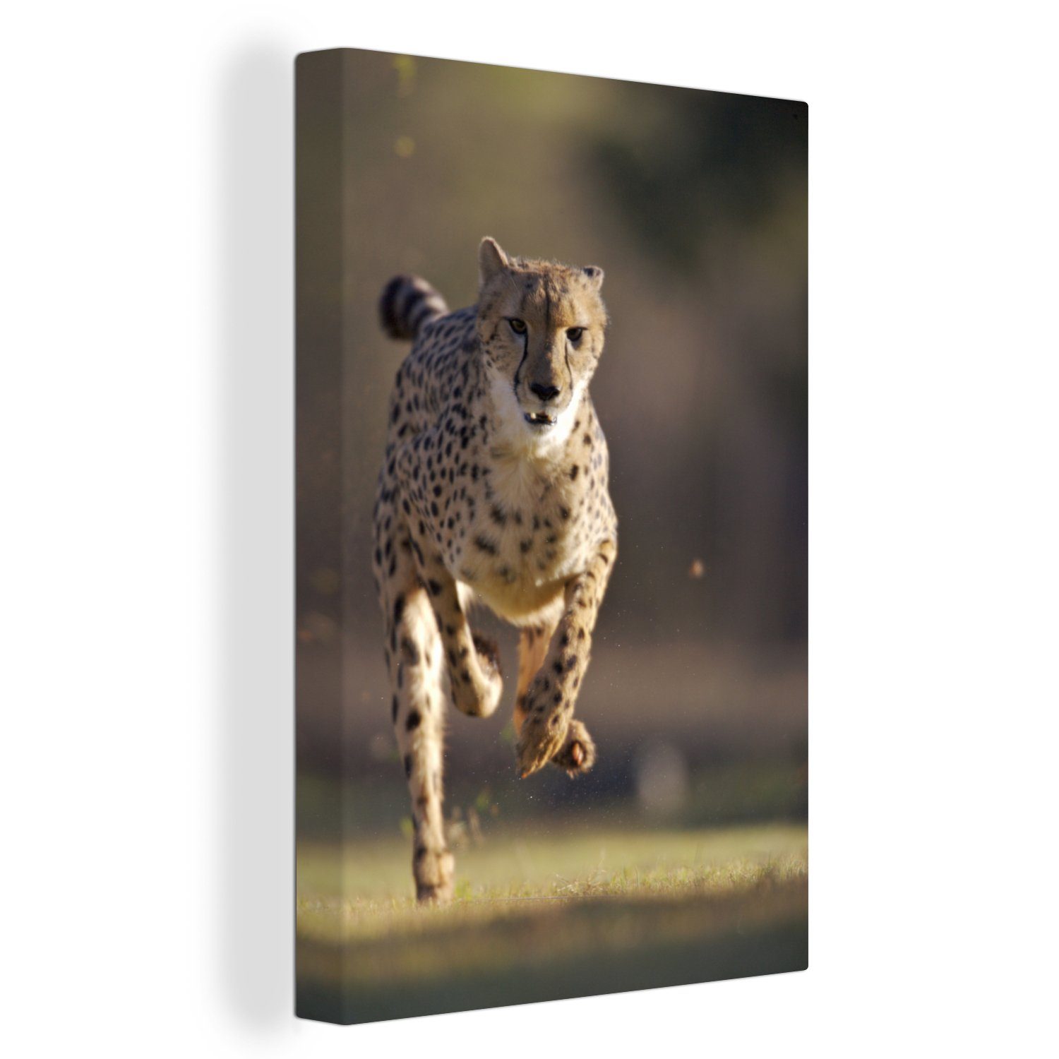 OneMillionCanvasses® Leinwandbild Leopard - Sprint - Pflanzen, (1 St), Leinwandbild fertig bespannt inkl. Zackenaufhänger, Gemälde, 20x30 cm bunt