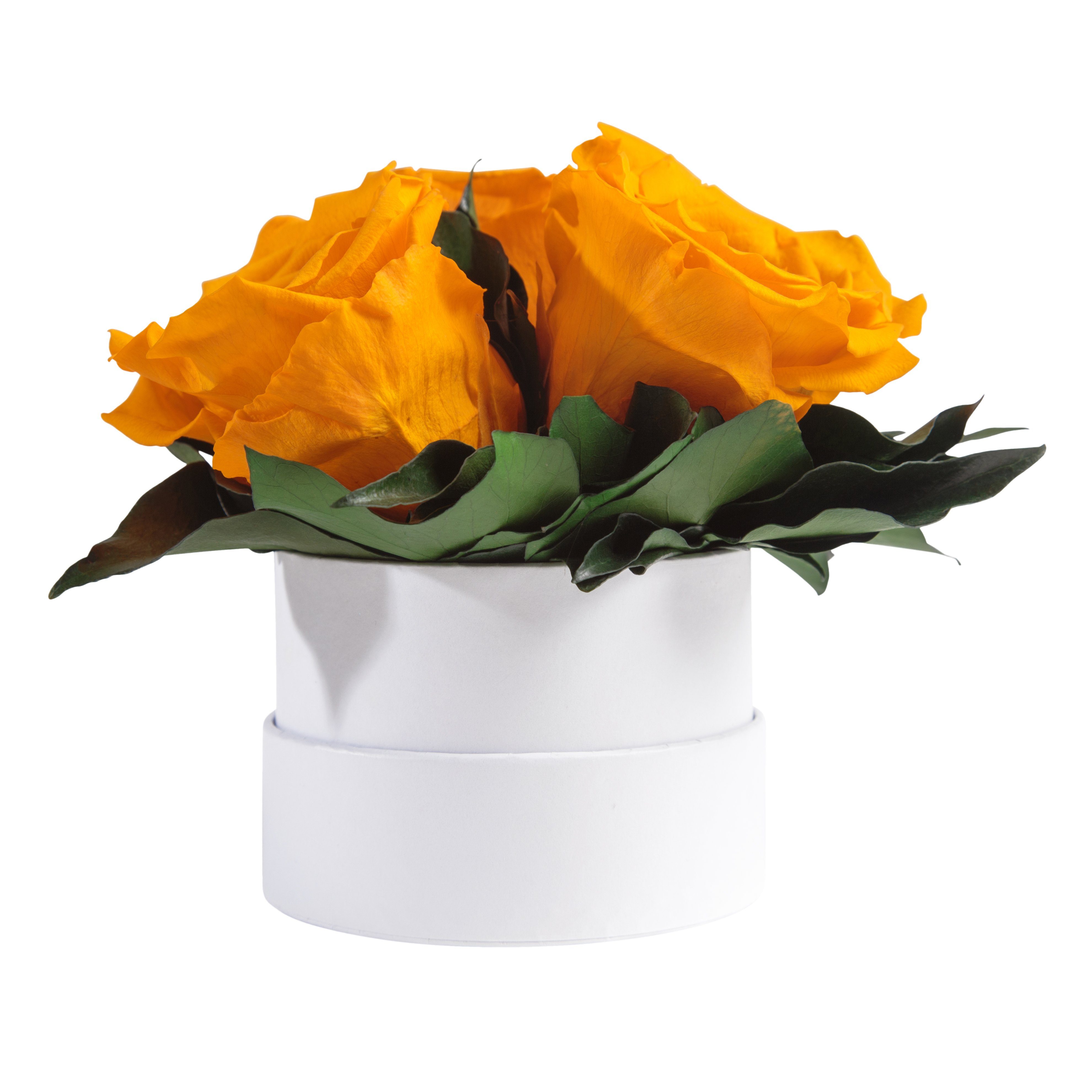 Kunstblume Infinity Rosenbox weiß rund 3 günstig online kaufen