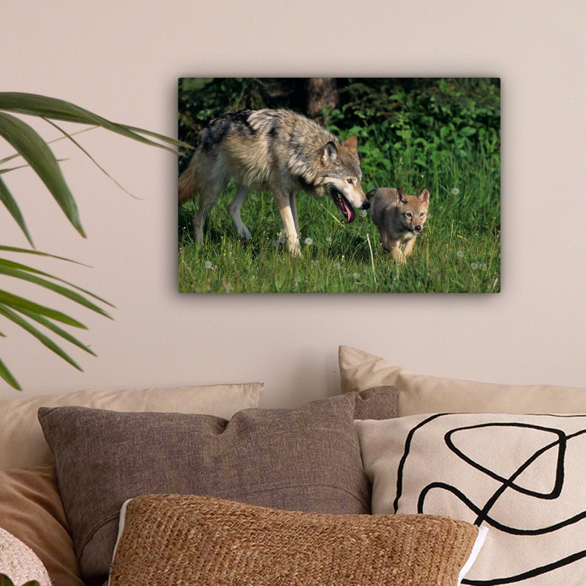 Gras, St), Baby (1 Wandbild - Wanddeko, Wolf cm 30x20 Leinwandbild - Leinwandbilder, Aufhängefertig, OneMillionCanvasses®