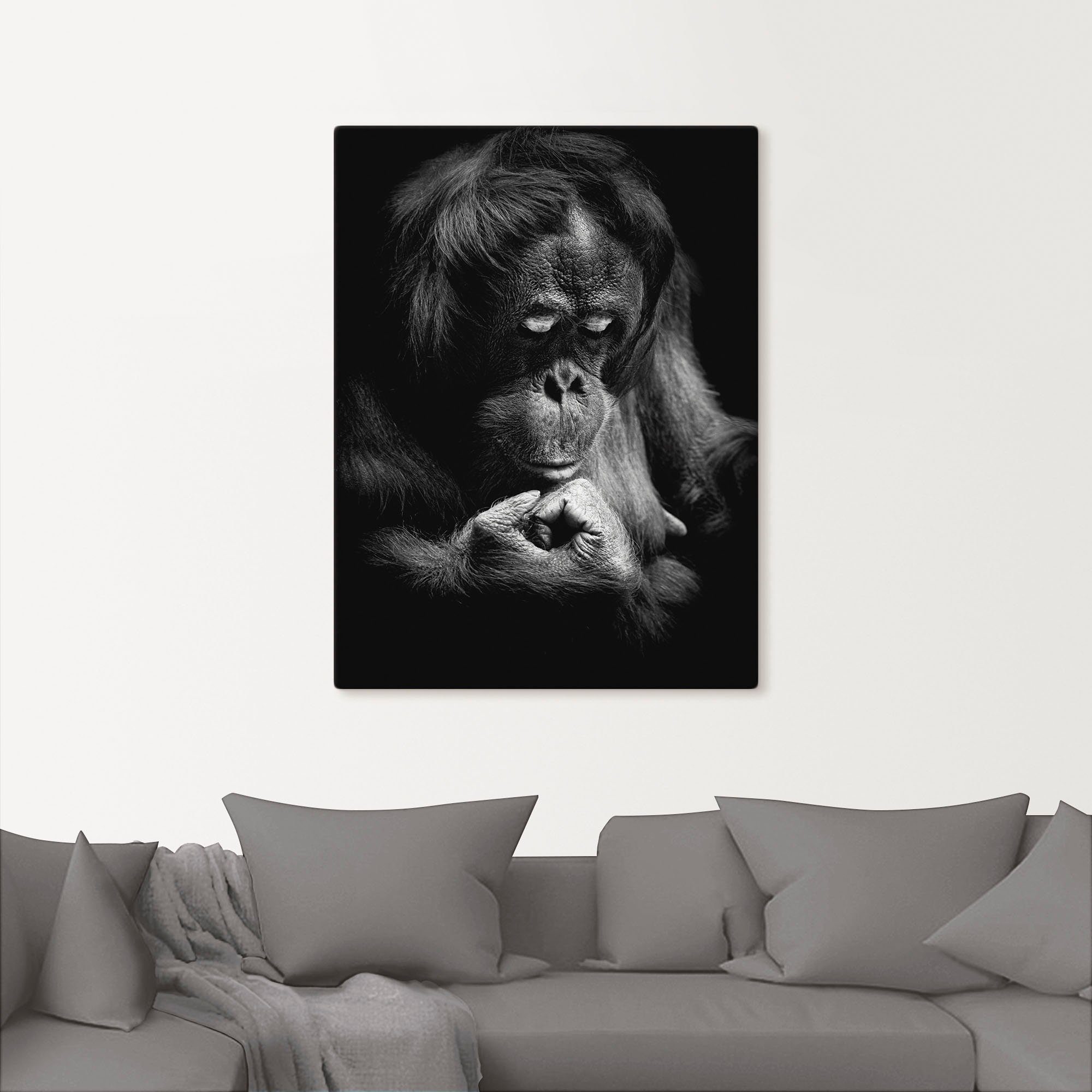 in Größen Utan, St), oder als Wandbild Leinwandbild, Affenbilder Artland Wandaufkleber (1 versch. Orang Poster Alubild,