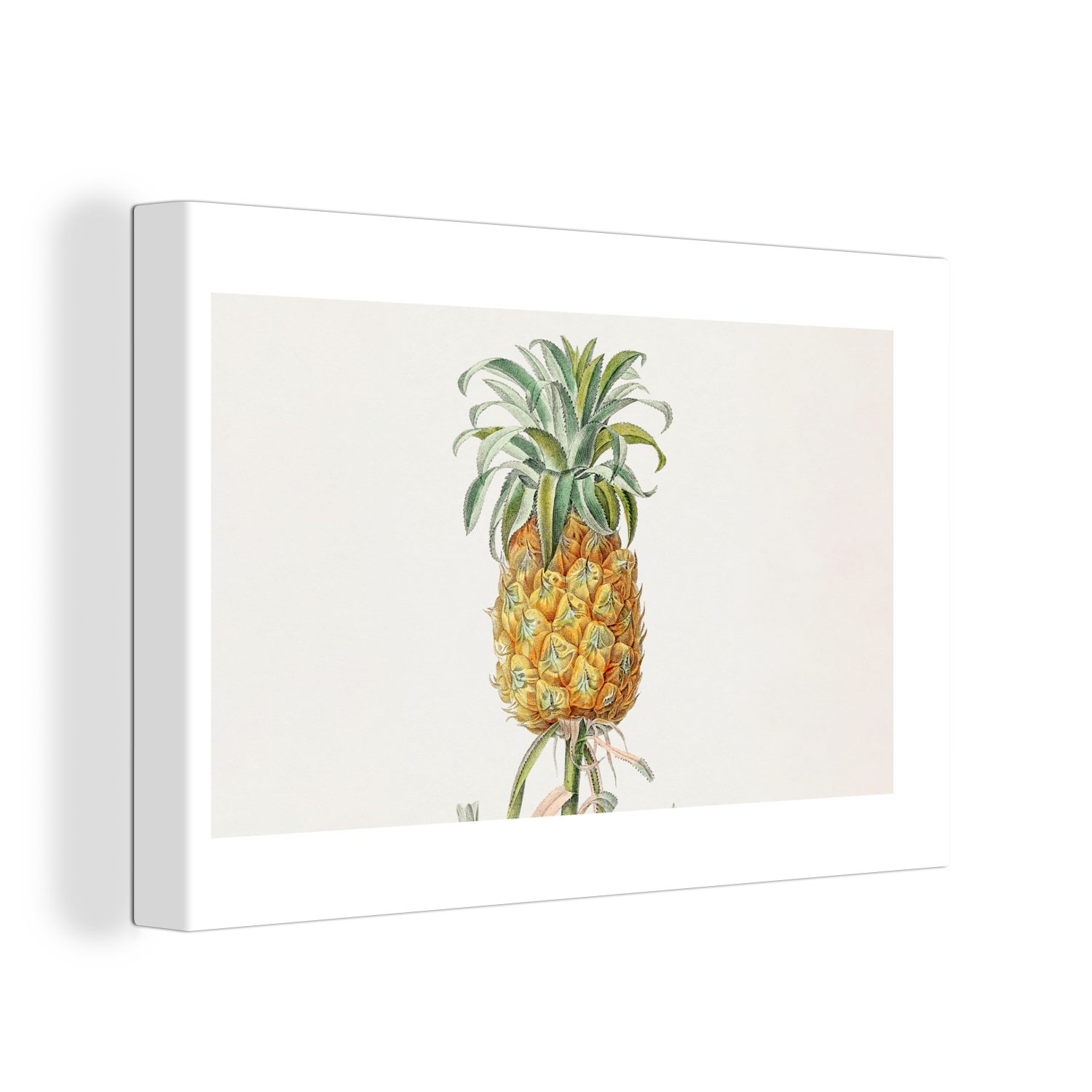 OneMillionCanvasses® Leinwandbild Ananas - Pflanze - Lebensmittel, (1 St), Wandbild Leinwandbilder, Aufhängefertig, Wanddeko, 30x20 cm | Leinwandbilder