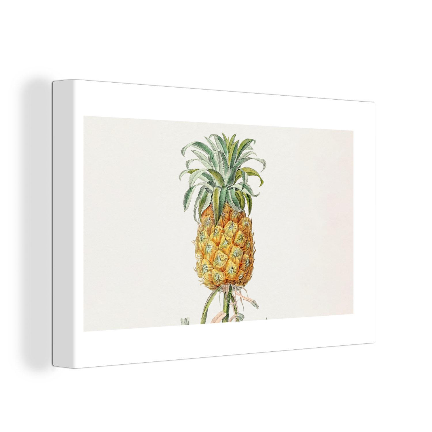 OneMillionCanvasses® cm Lebensmittel, Ananas Leinwandbild (1 30x20 Pflanze Leinwandbilder, - - St), Aufhängefertig, Wanddeko, Wandbild