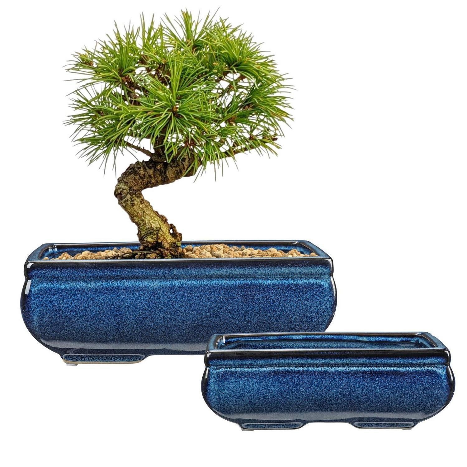 LuxusKollektion Blumentopf Bonsai Topf Set Keramik Blau 25+19cm (2 St)